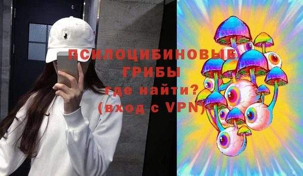 PSILOCYBIN Дмитровск